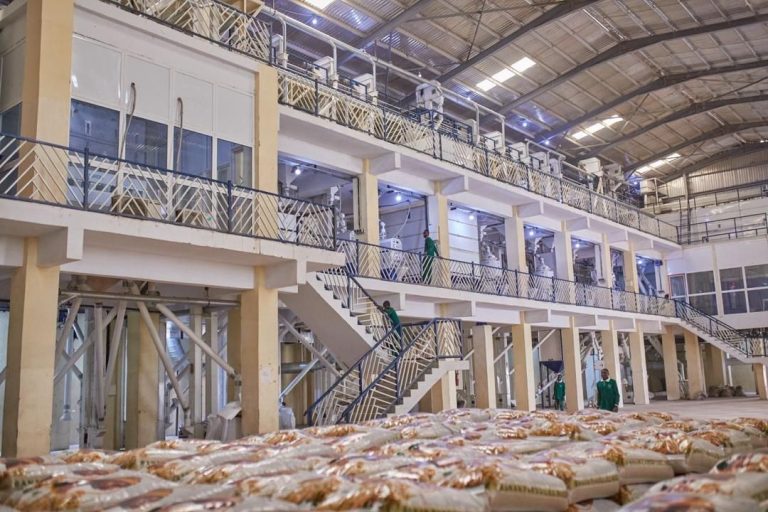 598982585_122145761804947720_4969412482181608817_n