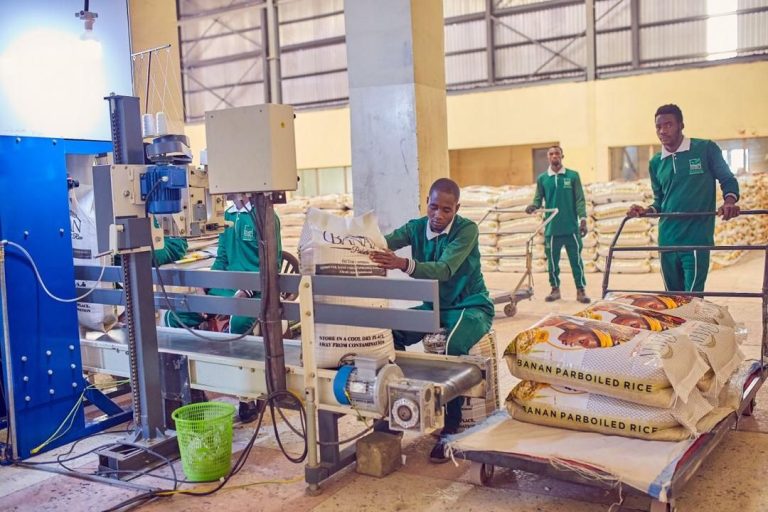 599690009_122145761738947720_3810383550253538321_n