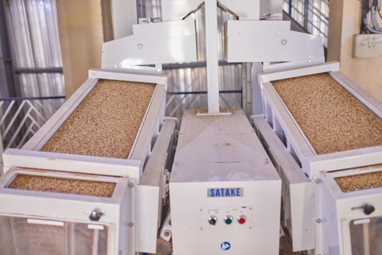 600370820_122145761786947720_6953928326624701796_n